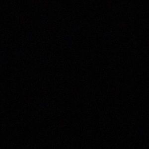 Meet your Posher, Lauran